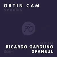 Ortin Cam — Forbidden Fruit — обложка